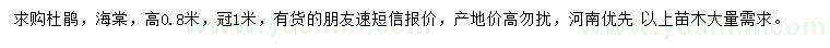 求購高0.8米杜鵑、海棠