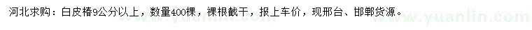 求購9公分以上白皮椿