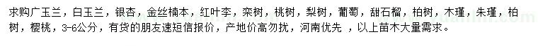 求購(gòu)廣玉蘭、白玉蘭、銀杏等