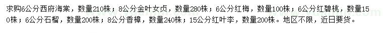 求購西府海棠、金葉女貞、紅梅等