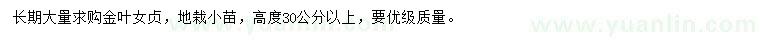 求購高30公分以上金葉女貞