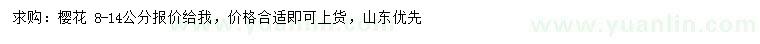 求購8-14公分櫻花