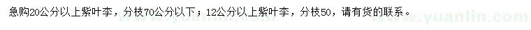 求購(gòu)12、20公分以上紫葉李