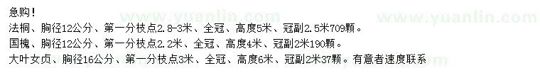 求購法桐、國槐、大葉女貞