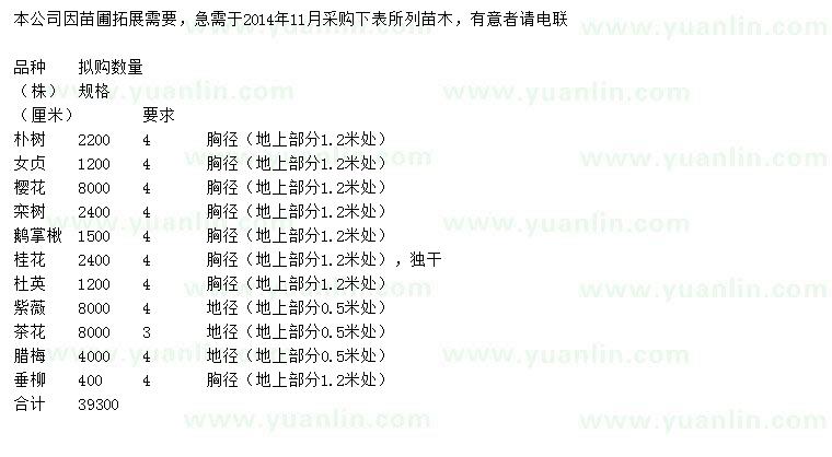 求購(gòu)樸樹(shù)、女貞、櫻花等