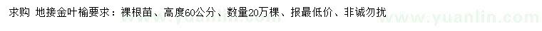 求購高60公分地接金葉榆