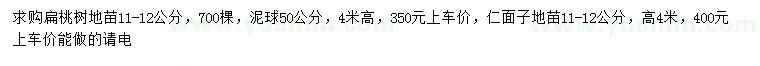 求購11-12公分扁桃樹、仁面子