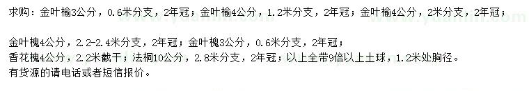 求購金葉榆、金葉槐、香花槐等