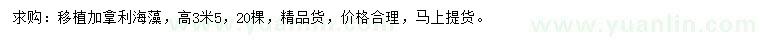 求購(gòu)高3.5米加拿利海藻