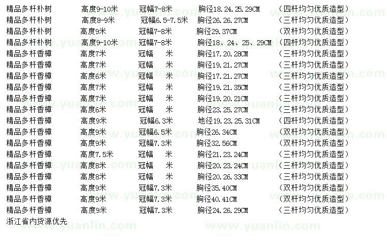 求購多桿精樸樹、多桿精品香樟
