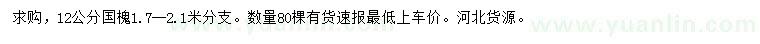 求購12公分國槐