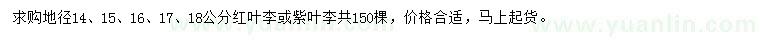 求購地徑14、15、16、17、18公分紅葉李或紫葉李