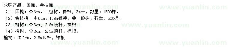 求購國槐、金枝槐、柳樹等