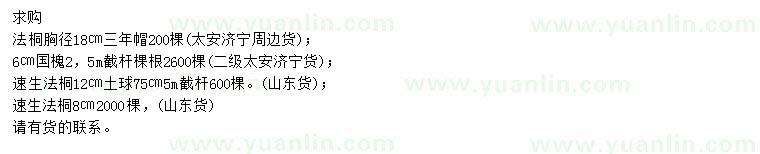 求購法桐、國槐、速生法桐