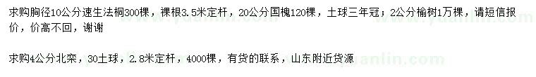 求購速生法桐、國槐、榆樹等