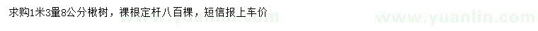 求購(gòu)1.3米量8公分楸樹