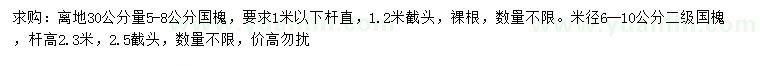 求購30公分量5-8公分國槐、米徑6-10公分國槐