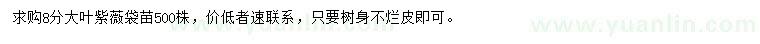 求購8公分大葉紫薇