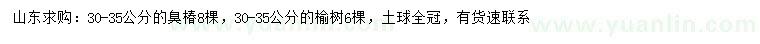 求購30-35公分臭椿、榆樹
