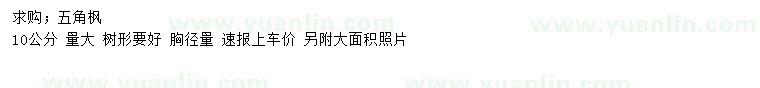求購10公分五角楓