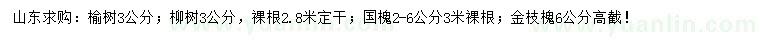 求購榆樹、柳樹、國槐等