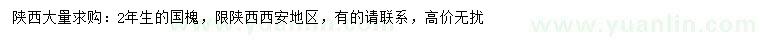 求購2年生國槐