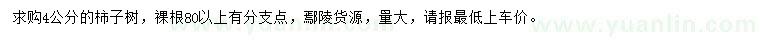 求購4公分柿子樹