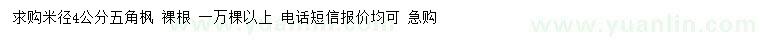 求購米徑4公分五角楓 