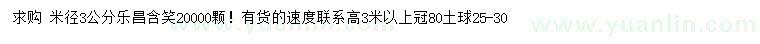求購米徑3公分樂昌含笑