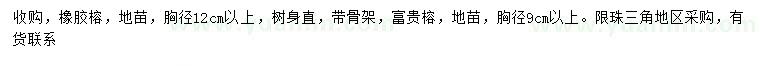 求購胸徑12公分以上橡膠榕、9公分以上富貴榕