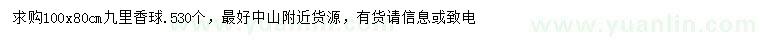 求購80公分九里香球