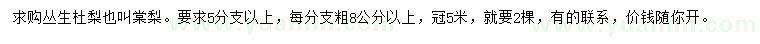 求購叢生棠梨