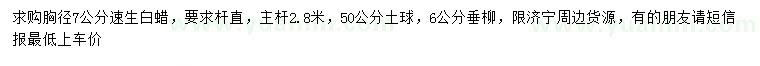 求購胸徑7公分速生白蠟、6公分垂柳