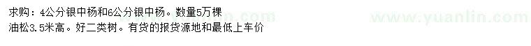 求購4、6公分銀中楊、高3.5米油松
