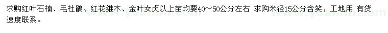 求購紅葉石楠、毛杜鵑、紅花繼木等