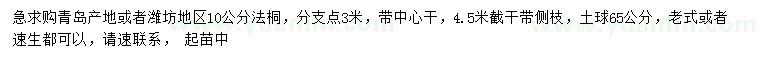 求購10公分法桐