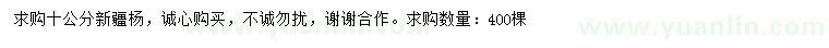 求購10公分新疆楊