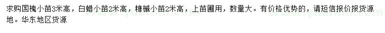 求購國槐小苗、白蠟小苗、糖槭小苗