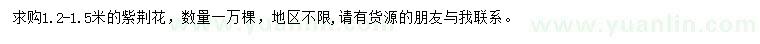 求購1.2-1.5米紫荊花