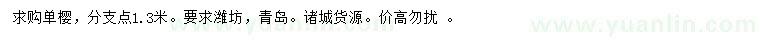 求購單櫻