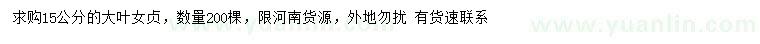 求購15公分大葉女貞