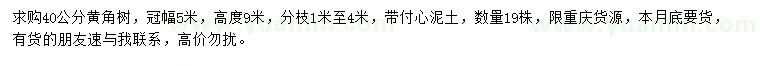 求購(gòu)40公分黃角樹(shù)