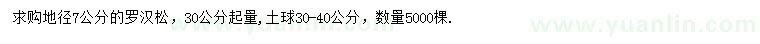 求購(gòu)地徑7公分羅漢松