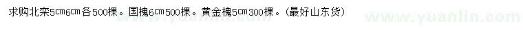 求購(gòu)北欒、國(guó)槐、黃金槐