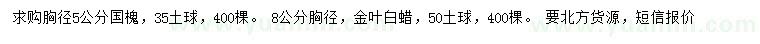 求購胸徑5公分國槐、8公分金葉白蠟