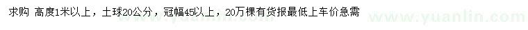 求購(gòu)高1米以上曼地亞紅豆杉