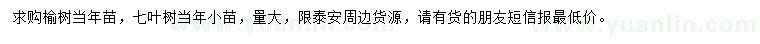 求購榆樹當(dāng)年苗、七葉樹當(dāng)年苗