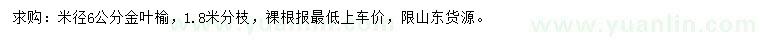 求購(gòu)米徑6公分金葉榆