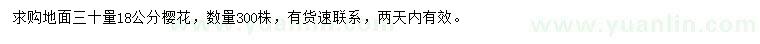 求購30量18公分櫻花
