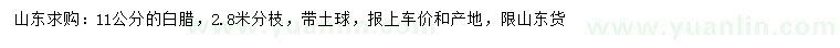求購11公分白臘